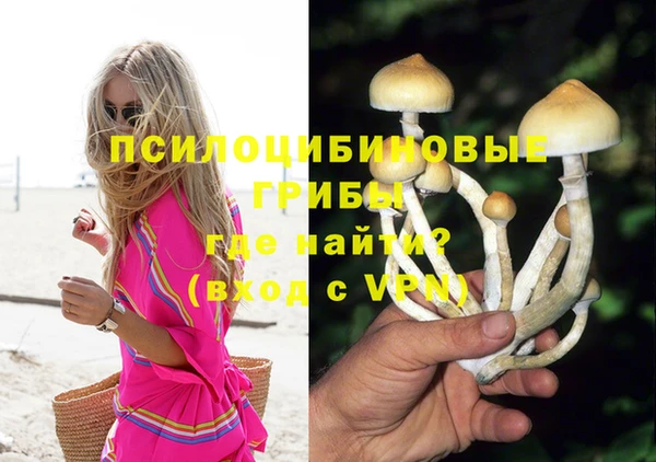 дмт Верхний Тагил
