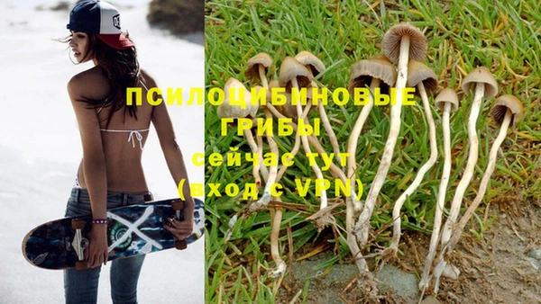 альфа пвп Верхнеуральск