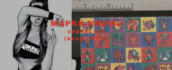 бошки Верея