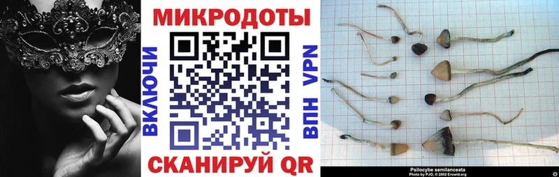 Галлюциногенные грибы мицелий  Купить  Андреаполь 